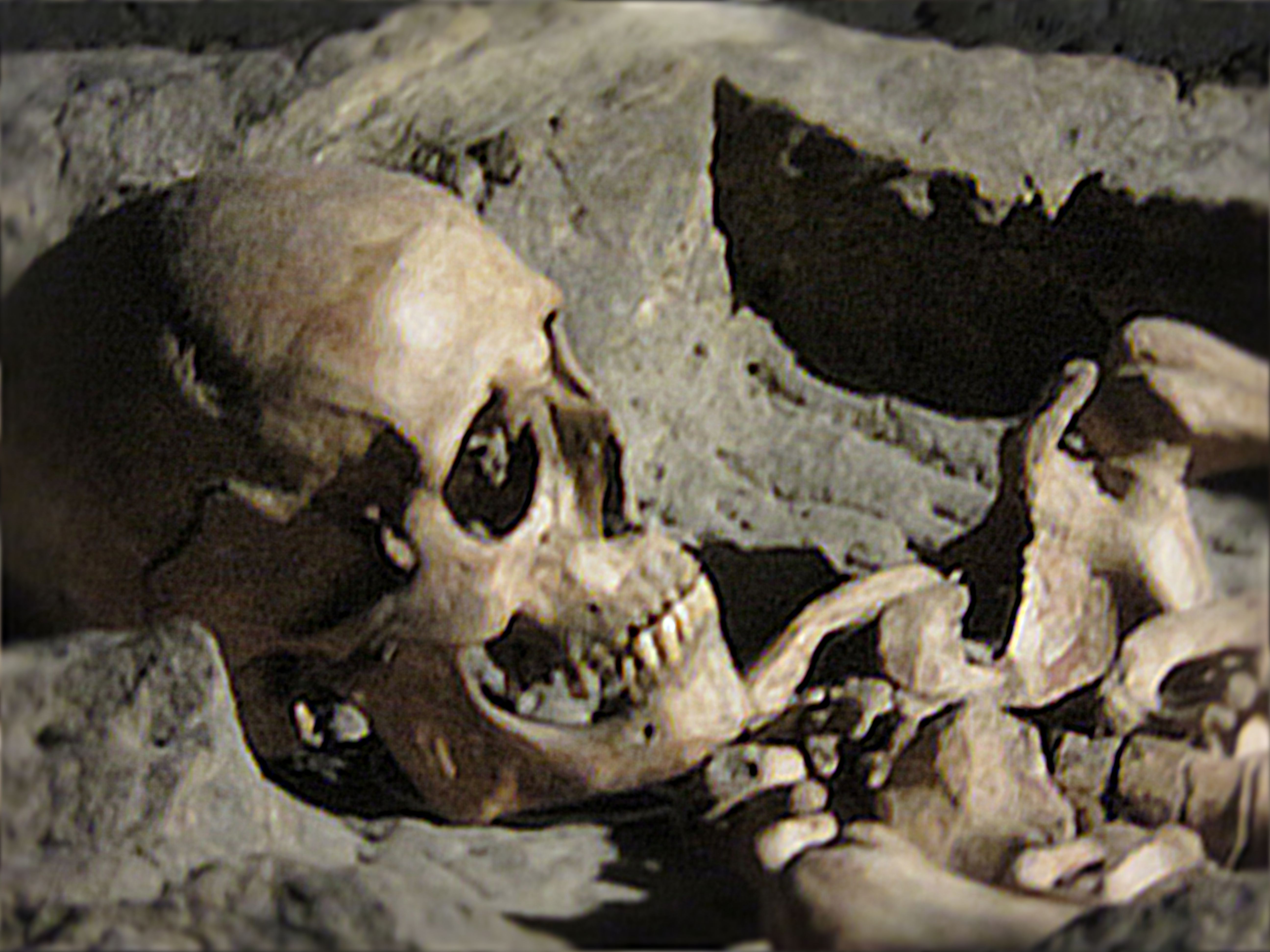 Detalle de la calavera en el sarcófago.