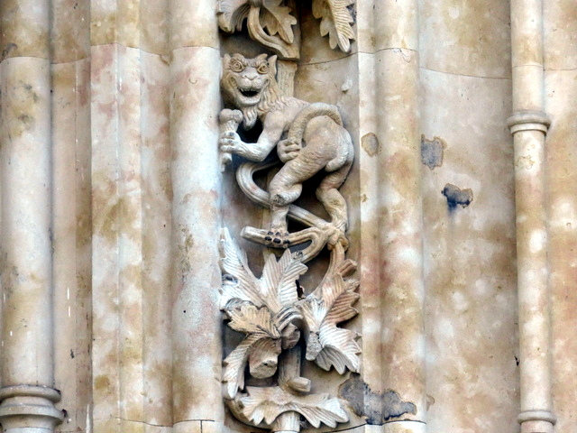 Mono comiendo helado en la catedral de Salamanca.