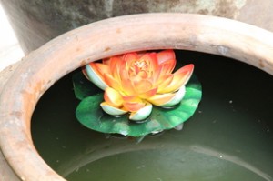 Flor flotando en tinaja de barro 