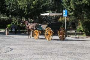 Carro de caballos en la plaza de La Maestranza