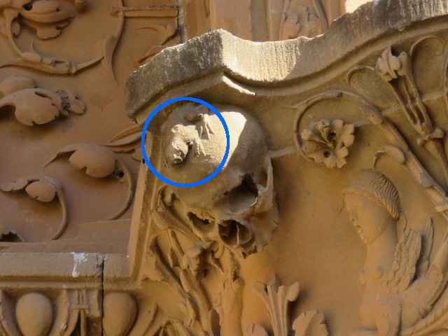 la famosa rana de la fachada de la universidad de Salamanca.