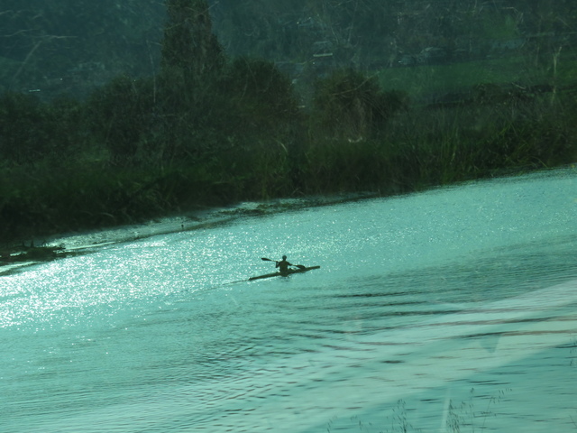 Un piragüista entrenado en el río Sella.
