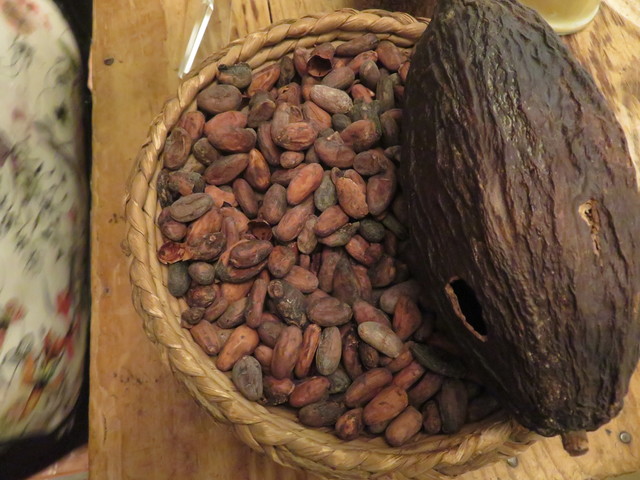 La vaina gorda de la derecha contiene las semillas que se ven en el cesto. 